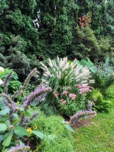 Secondary image for the Pollinator Garden/Sidewalk Consulting Auction Item