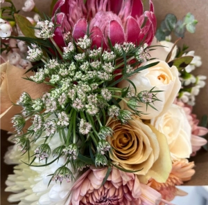 Secondary image for the Flower Arrangement Workshop at Mayday Coffee Shop Auction Item