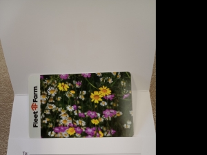 Primary image for the Item #41 $40 Fleet Farm Gift Card Auction Item