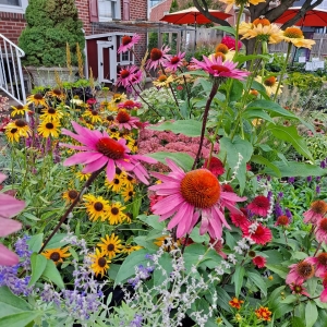 Secondary image for the Mostardi Nursery Gift Card Auction Item