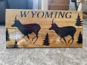 Primary image for the Wyoming Sign Auction Item