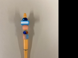 Primary image for the Orange and Blue Book Pen Auction Item