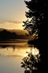 Primary image for the Daintree River safari  Auction Item