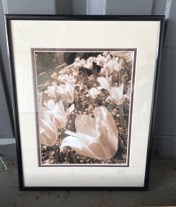 Primary image for the Framed Tulip photo Black and White Auction Item