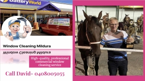 Primary image for the Mildura Window Cleaning Session  Auction Item