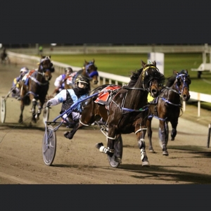Primary image for the SPRINTERS CUP RUNNER- JORDY LEEDHAM Auction Item