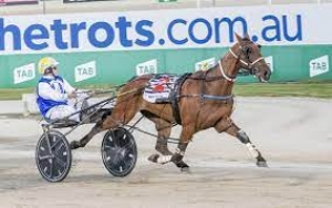 Primary image for the SPRINTERS CUP RUNNER- LUKE DUNNE Auction Item