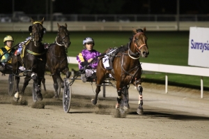 Primary image for the SPRINTERS CUP RUNNER- WAYNE HILL Auction Item