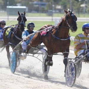 Primary image for the SPRINTERS CUP RUNNER- ANDREW VOZLIC Auction Item