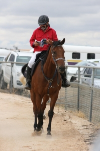 Primary image for the SPRINTERS CUP RUNNER- BARRY SAMBROOKS Auction Item