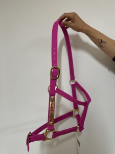Primary image for the Pacing For Pink Halter! Auction Item