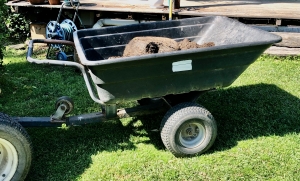 Primary image for the Poly Dump Cart Auction Item