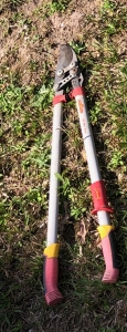 Primary image for the WolfGarten RR390 Loppers Auction Item