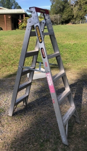 Primary image for the Gorilla Step Ladder Auction Item