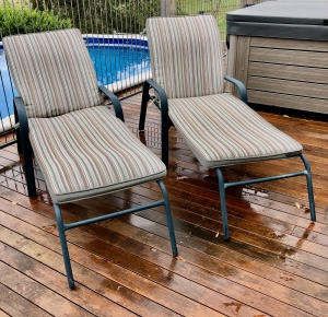 Primary image for the Sun Lounges Auction Item
