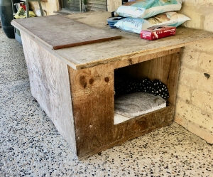 Primary image for the Dog Kennel Auction Item