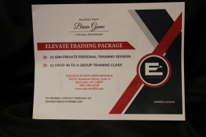 Primary image for the Elevate Sports Performance Auction Item