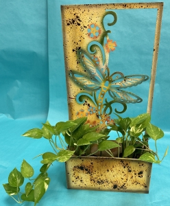 Secondary image for the Planter with plant Auction Item