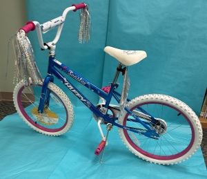 Primary image for the Bike Auction Item