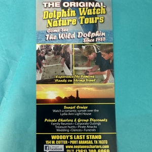 Primary image for the Woody's Bay Dolphin Watching Auction Item