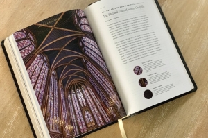 Secondary image for the Word on Fire Bible – the Gospels Auction Item