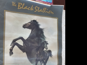 Primary image for the Fred Stone Vintage Black Stallion Poster Auction Item