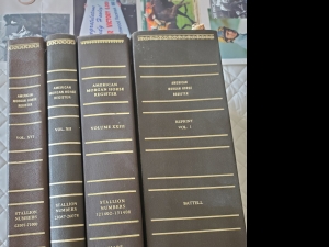Primary image for the AMHA Registry Books Auction Item