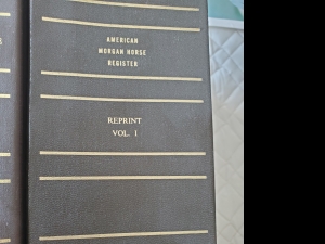 Secondary image for the AMHA Registry Books Auction Item