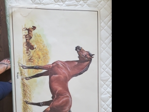 Primary image for the Vintage Morgan Horse Placemats Auction Item