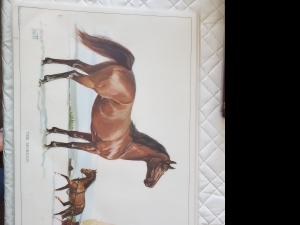Secondary image for the Vintage Morgan Horse Placemats Auction Item