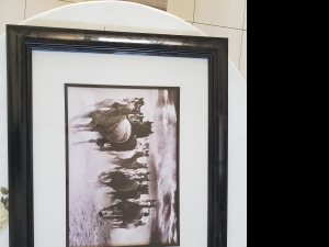 Primary image for the Horse Print Framed Auction Item