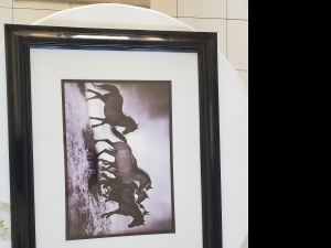 Primary image for the Horse Print Framed Auction Item