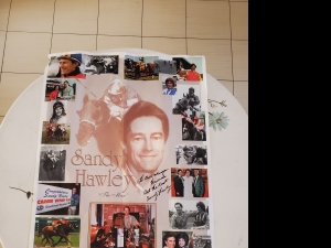 Primary image for the Sandy Hawley Poster Vintage Auction Item
