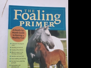 Primary image for the The Foaling Primer book Auction Item