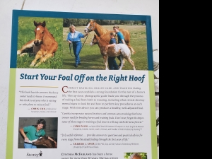 Secondary image for the The Foaling Primer book Auction Item