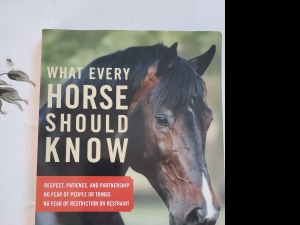 Primary image for the What every horse should know book Auction Item