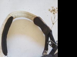 Secondary image for the Humane Saddle Seat girth Auction Item
