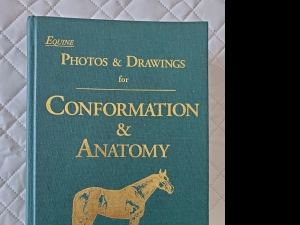 Primary image for the Conformation & Anatomy book Auction Item