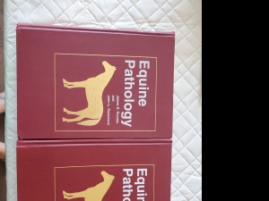 Primary image for the Equine Pathology book Auction Item