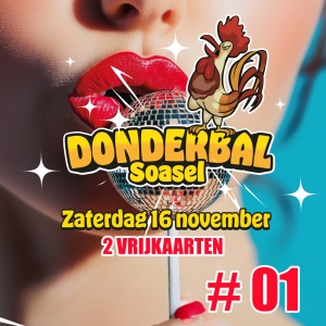 Primary image for the 2 Vrijkaarten voor het Donderbal - Donderbal Vrijkaarten item #01 Auction Item