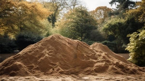 Primary image for the 1 Kuub Zand Auction Item