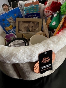 Primary image for the 191 - Cat Basket Auction Item