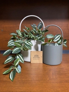 Primary image for the 220 - Garden Planters with Artificial Plant Auction Item
