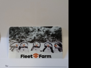 Primary image for the Item #55 $40.00 Gift Card to Fleet Farm Auction Item