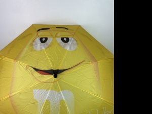 Secondary image for the M&M red scarf, yellow M&M umbrella, Skittles Auction Item