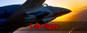 Primary image for the Fly the L-39 Fighter Jet L-39  Auction Item