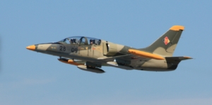 Secondary image for the Fly the L-39 Fighter Jet L-39  Auction Item