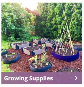 Secondary image for the NORTH END ORGANIC NURSERY Auction Item
