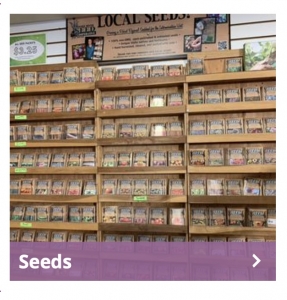 Secondary image for the NORTH END ORGANIC NURSERY Auction Item