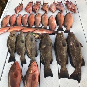 Secondary image for the Ocean Sports Charter FULL DAY Fishing Trip for 4 Auction Item